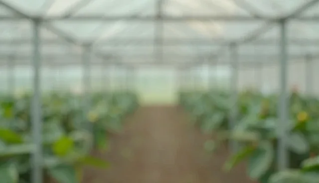 信息匹配中的性能差异与适用条件分析